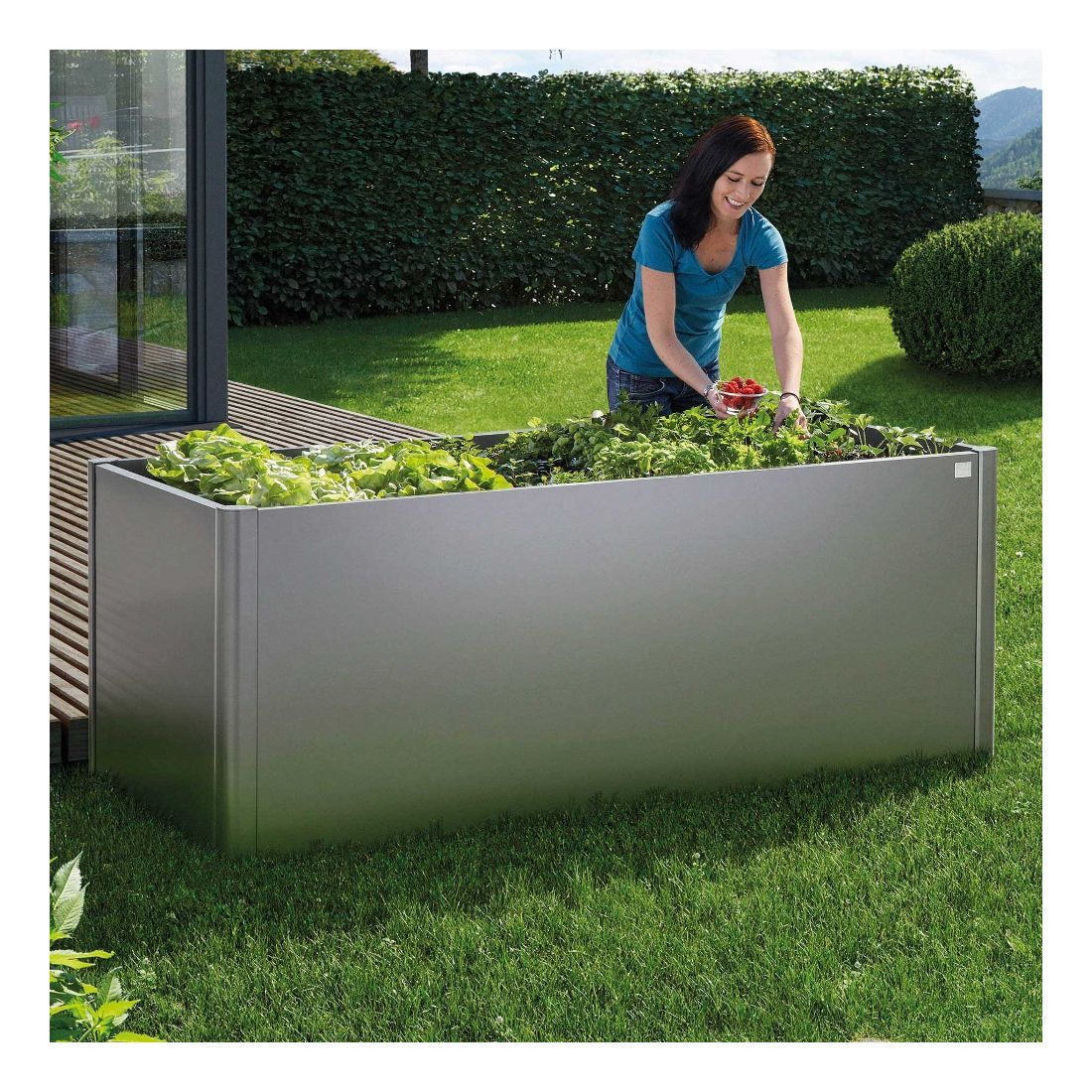 6-aiuola-biohort-colori-fornari-outdoor-design-rieti_235x235-1.jpg Aiuola rialzata in acciaio Biohort - immagine 1
